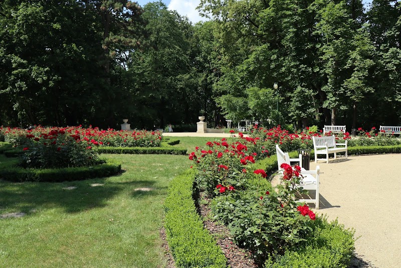 Saxon Garden Lublin