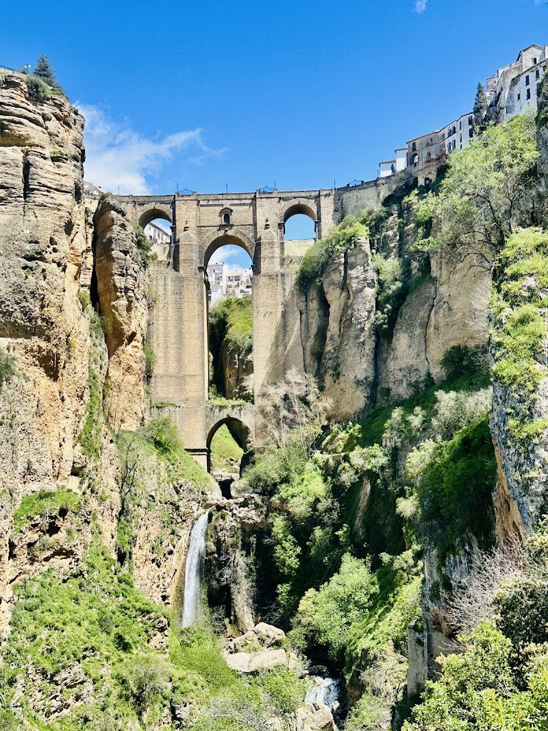 Arc of Christ