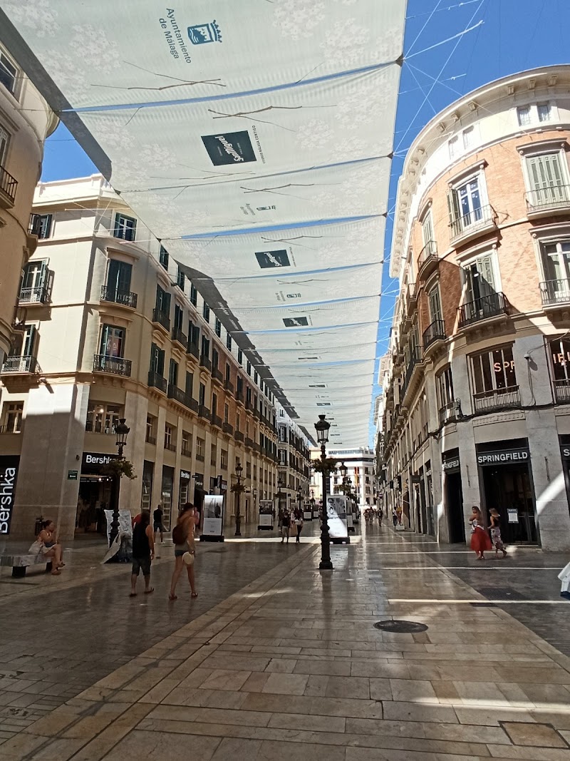 Calle Marqués de Larios